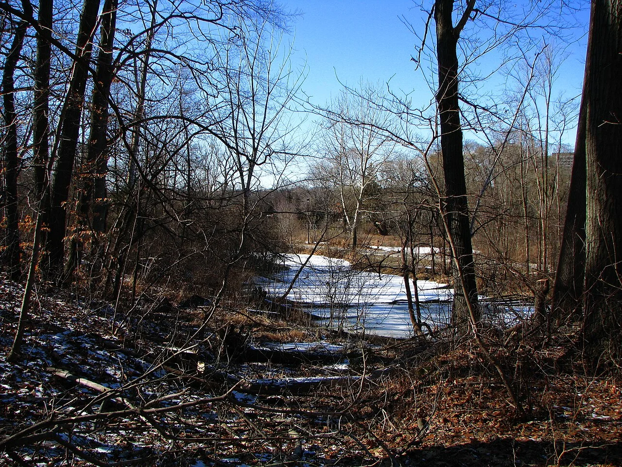 Photo of Rockcliffe-Smythe