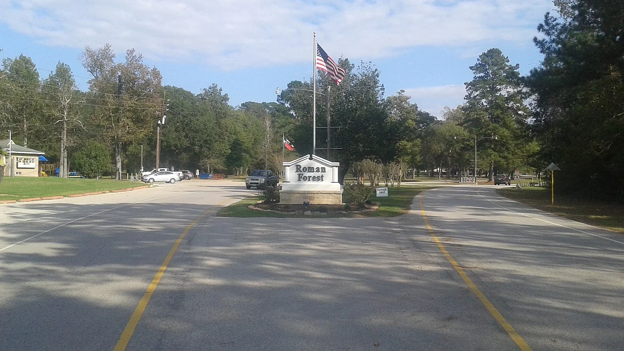 Photo of Roman Forest