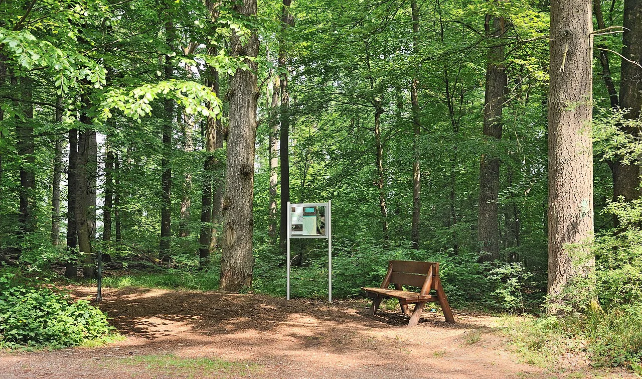 Photo of Roodt-sur-Syre