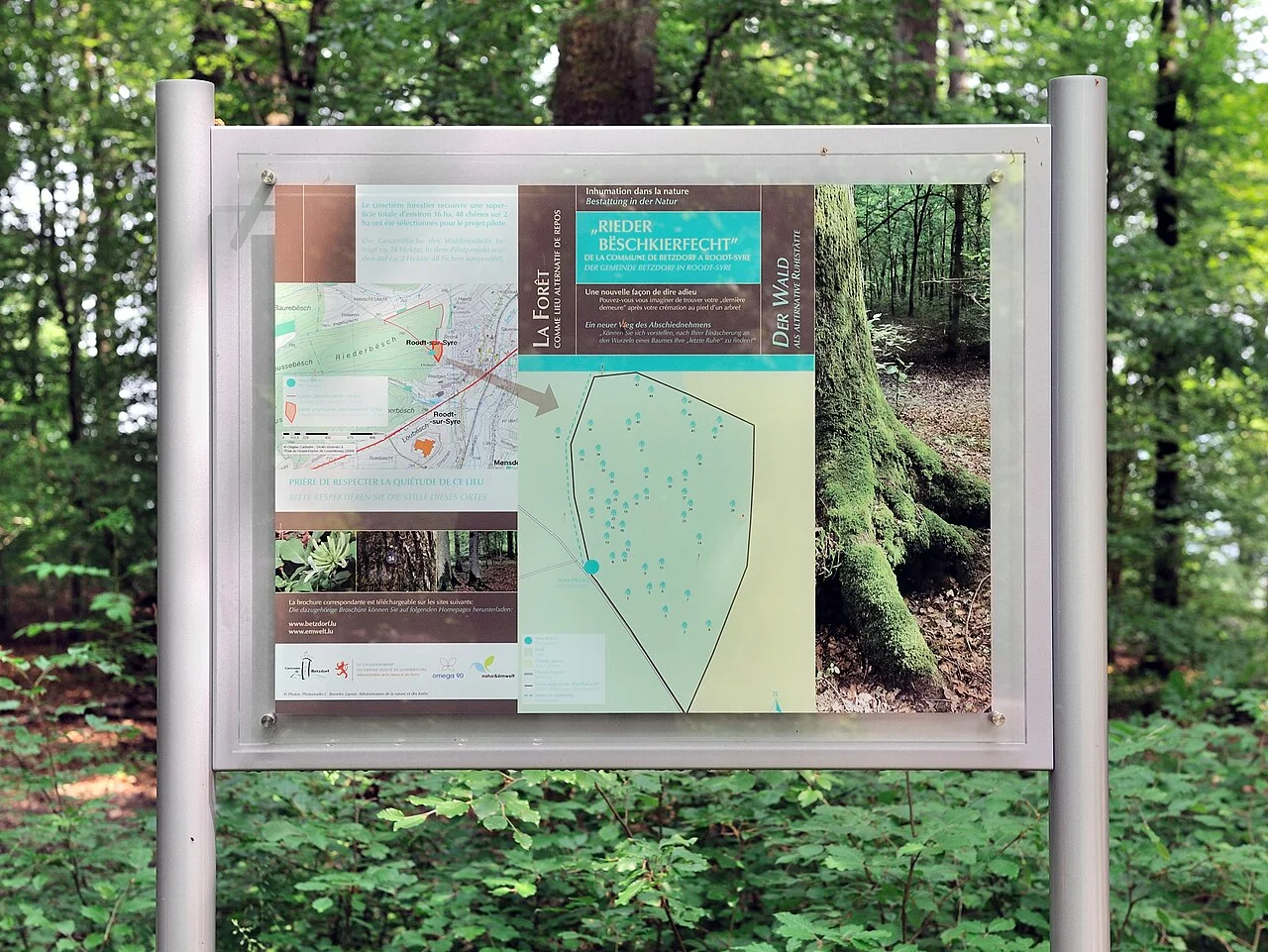 Photo of Roodt-sur-Syre