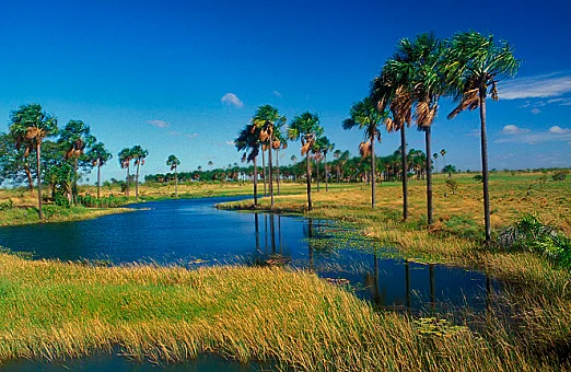 Photo of Rorainópolis