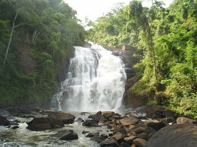 Photo of Rosário da Limeira