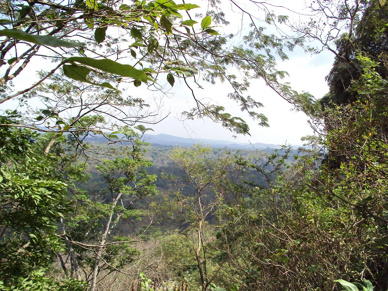 Photo of Rosario de Mora