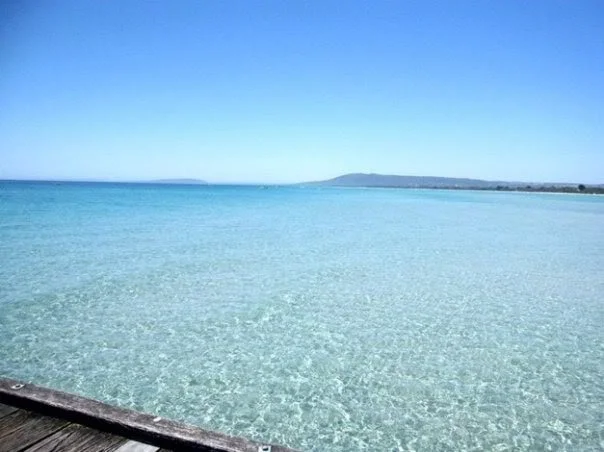 Photo of Rosebud West