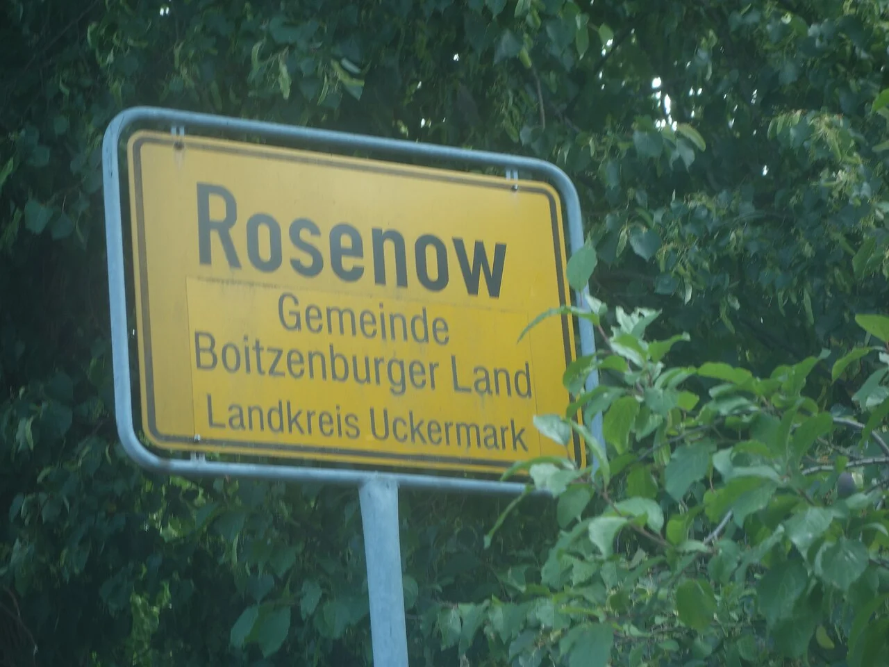 Photo of Rosenow