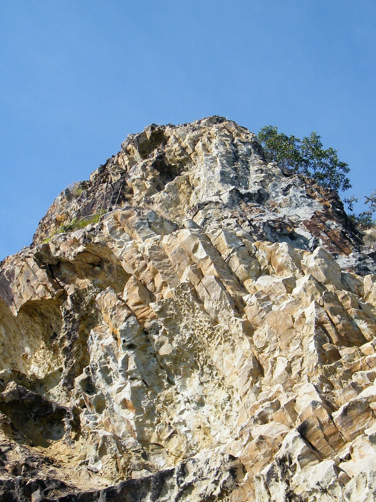 Photo of Rosslyn Park