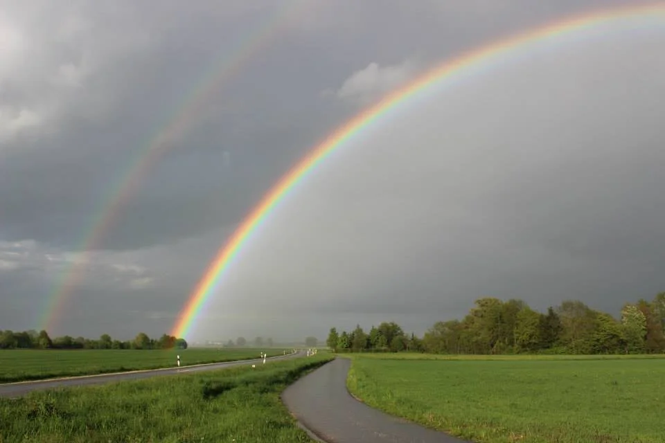 Photo of Rottenacker