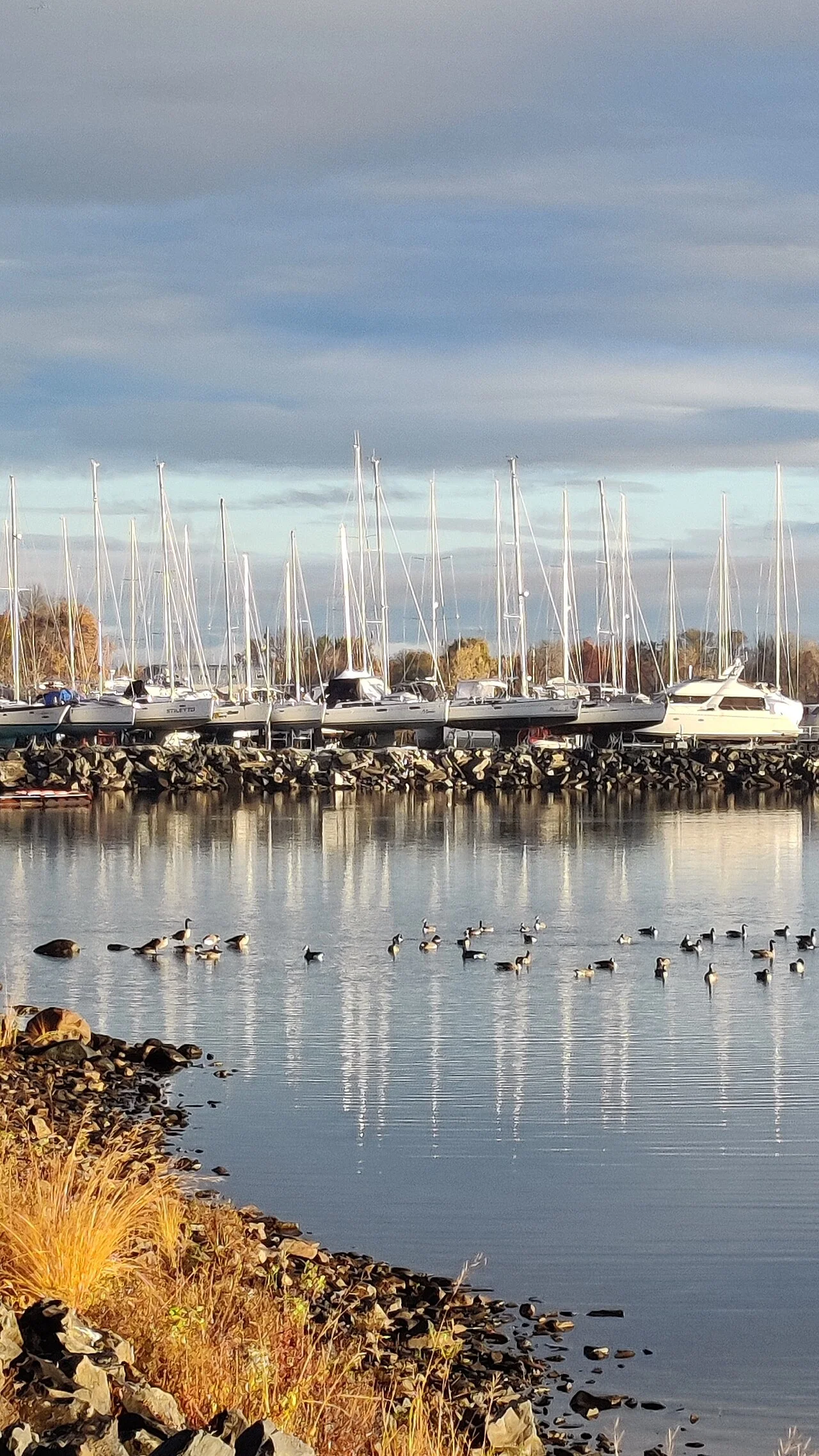 Photo of Rouses Point