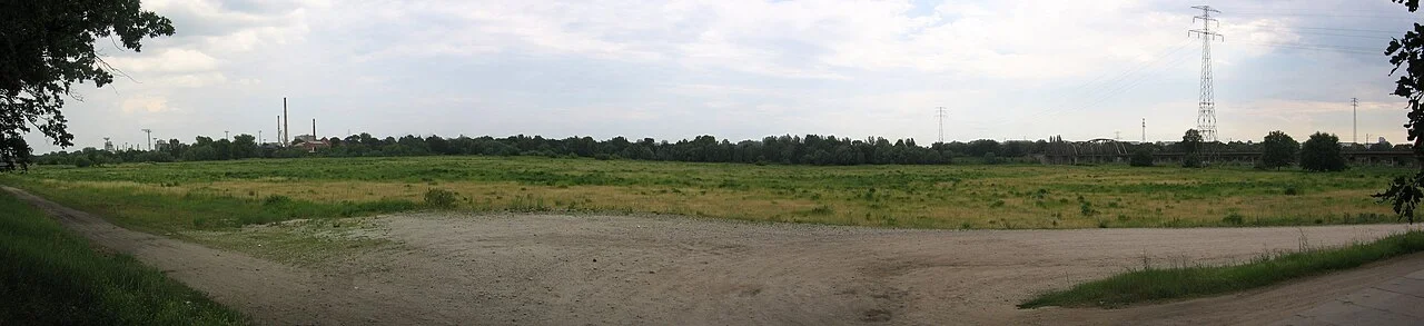 Photo of Różanka-Polanka