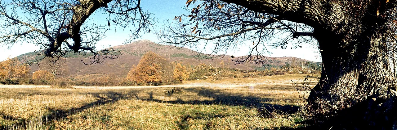 Photo of Rozas de Puerto Real