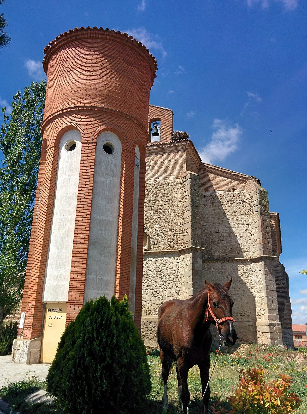 Photo of Rubí de Bracamonte