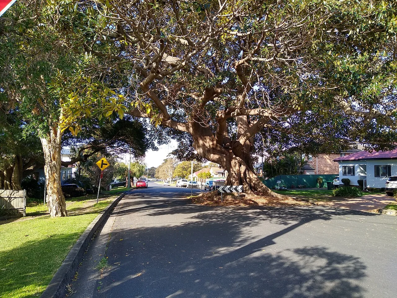 Photo of Russell Vale