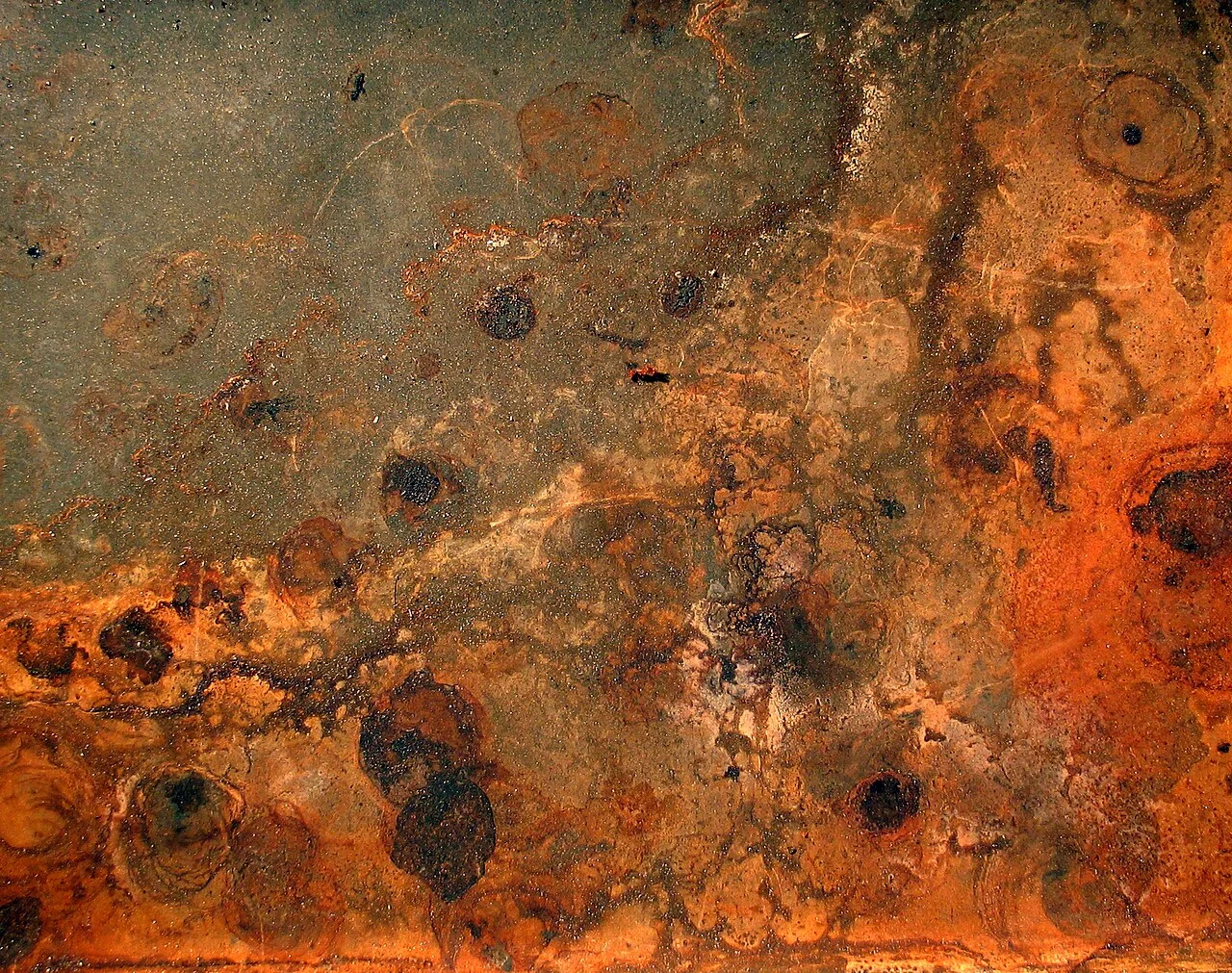 Photo of Rust