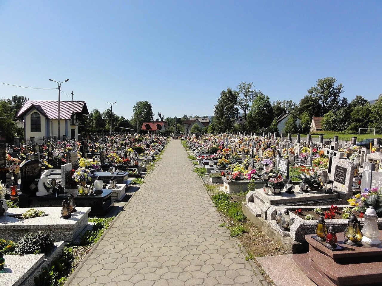 Photo of Rybarzowice