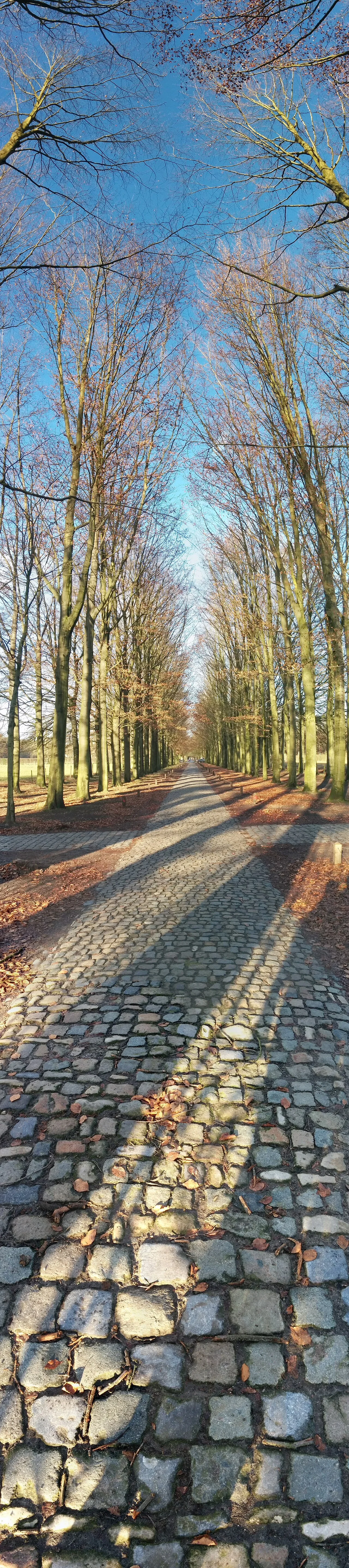 Photo of 's-Gravenwezel