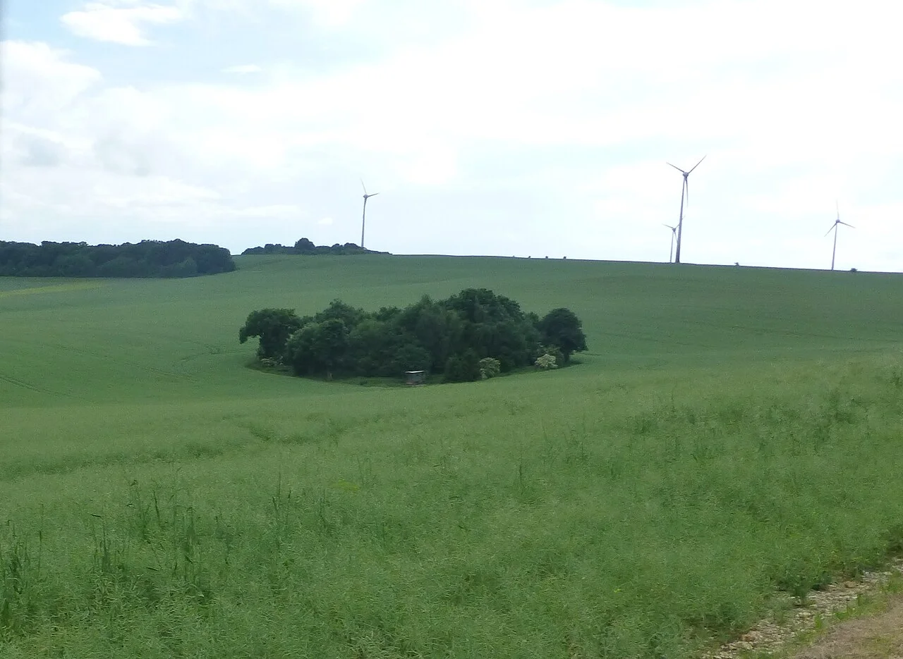 Photo of Sachsenhagen