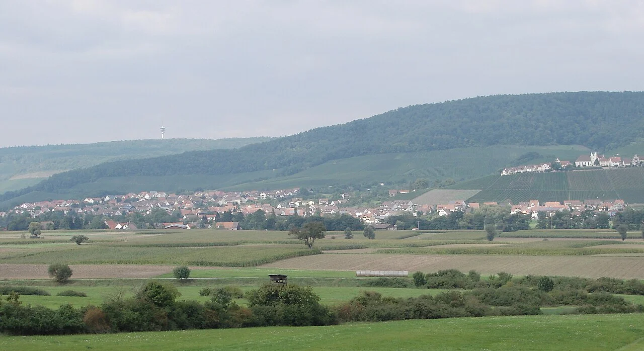 Photo of Sachsenheim