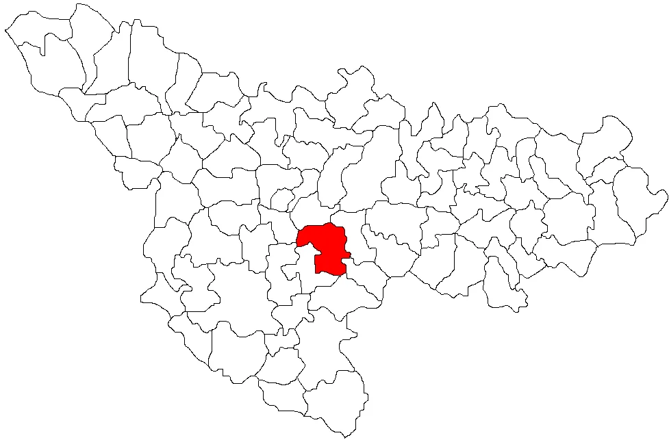 Photo of Sacoşu Turcesc