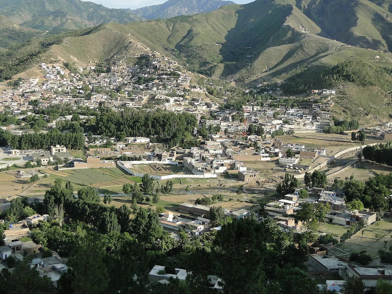 Photo of Saidu Sharif