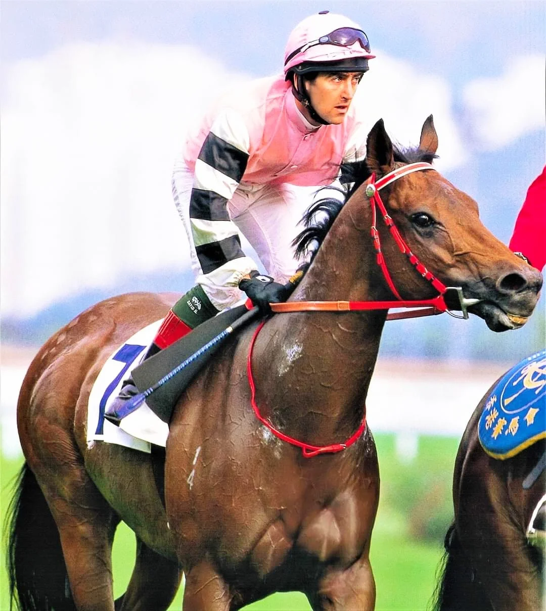 Photo of Saint Asaph