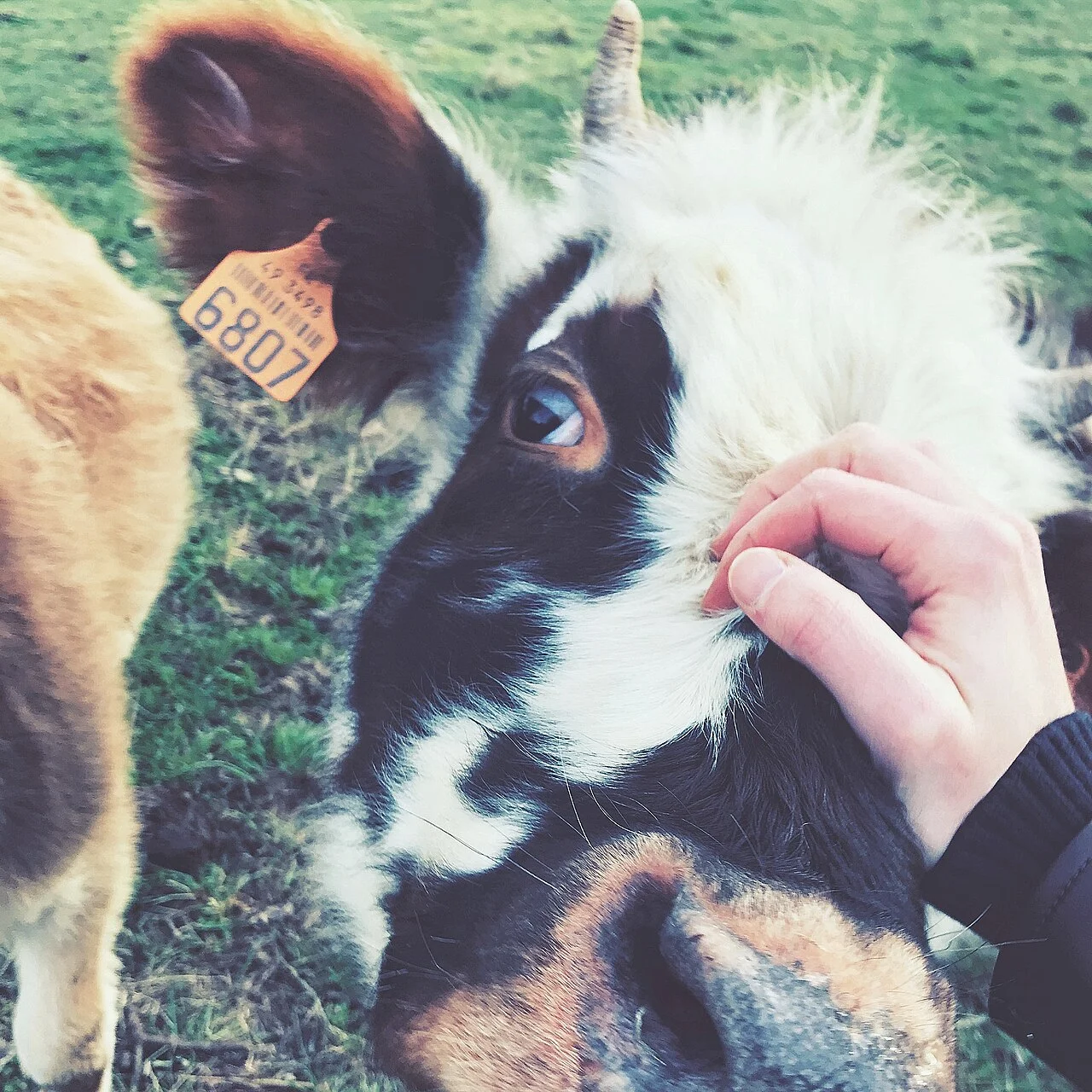 Photo of Saint-Crespin-sur-Moine