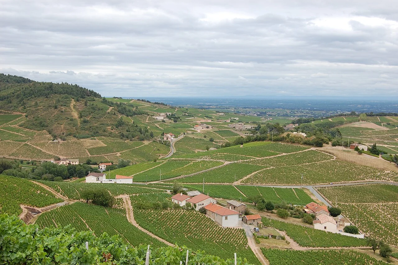 Photo of Saint-Cyr-sur-le-Rhône