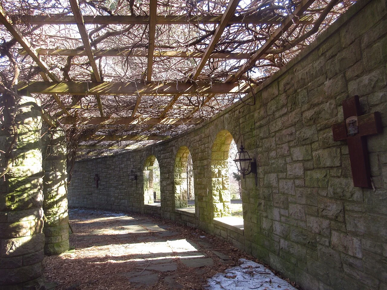 Photo of Saint Francis