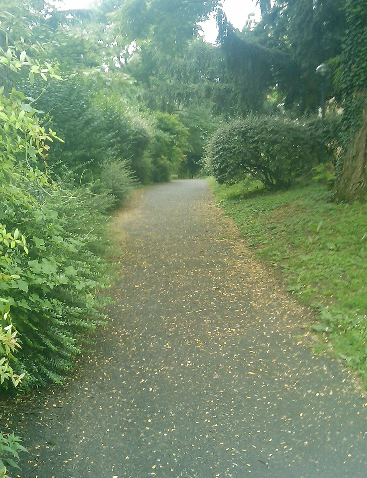 Photo of Saint-Julien-en-Genevois