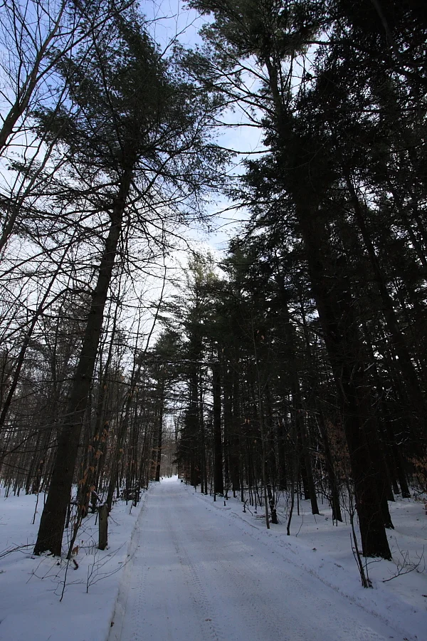 Photo of Saint-Lazare