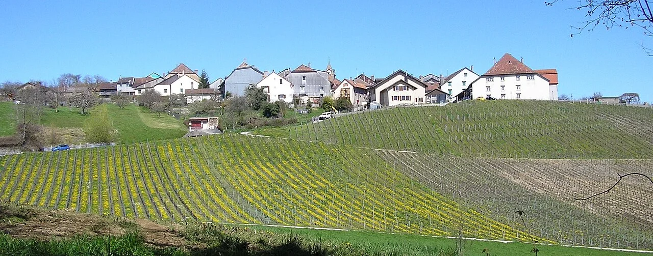 Photo of Saint-Livres