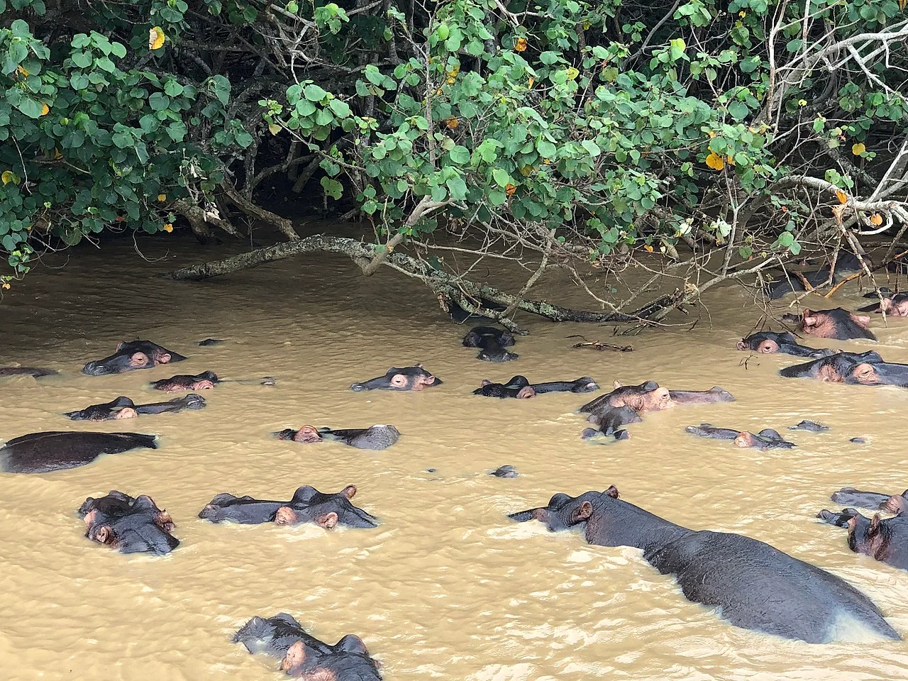 Photo of Saint Lucia