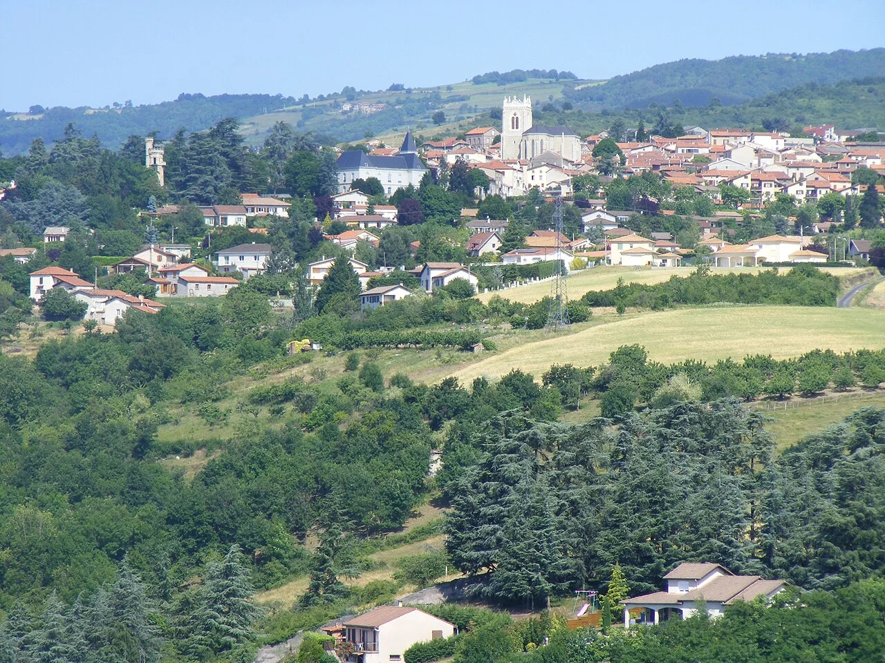 Photo of Saint-Martin-la-Plaine