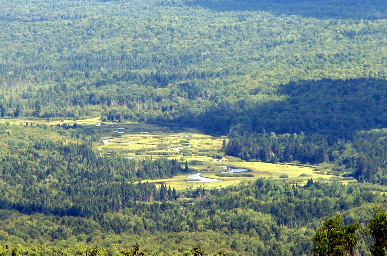 Photo of Saint Regis Park