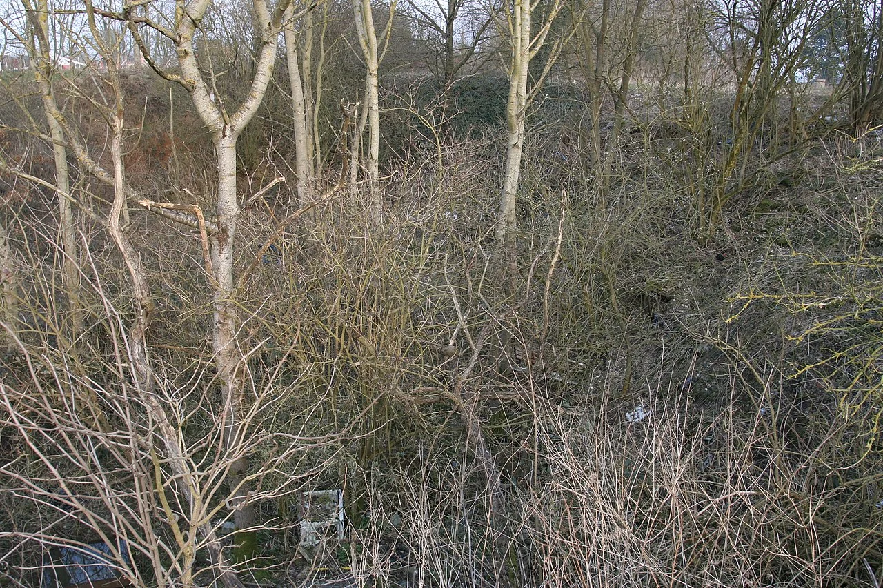 Photo of Saint-Romain-de-Colbosc