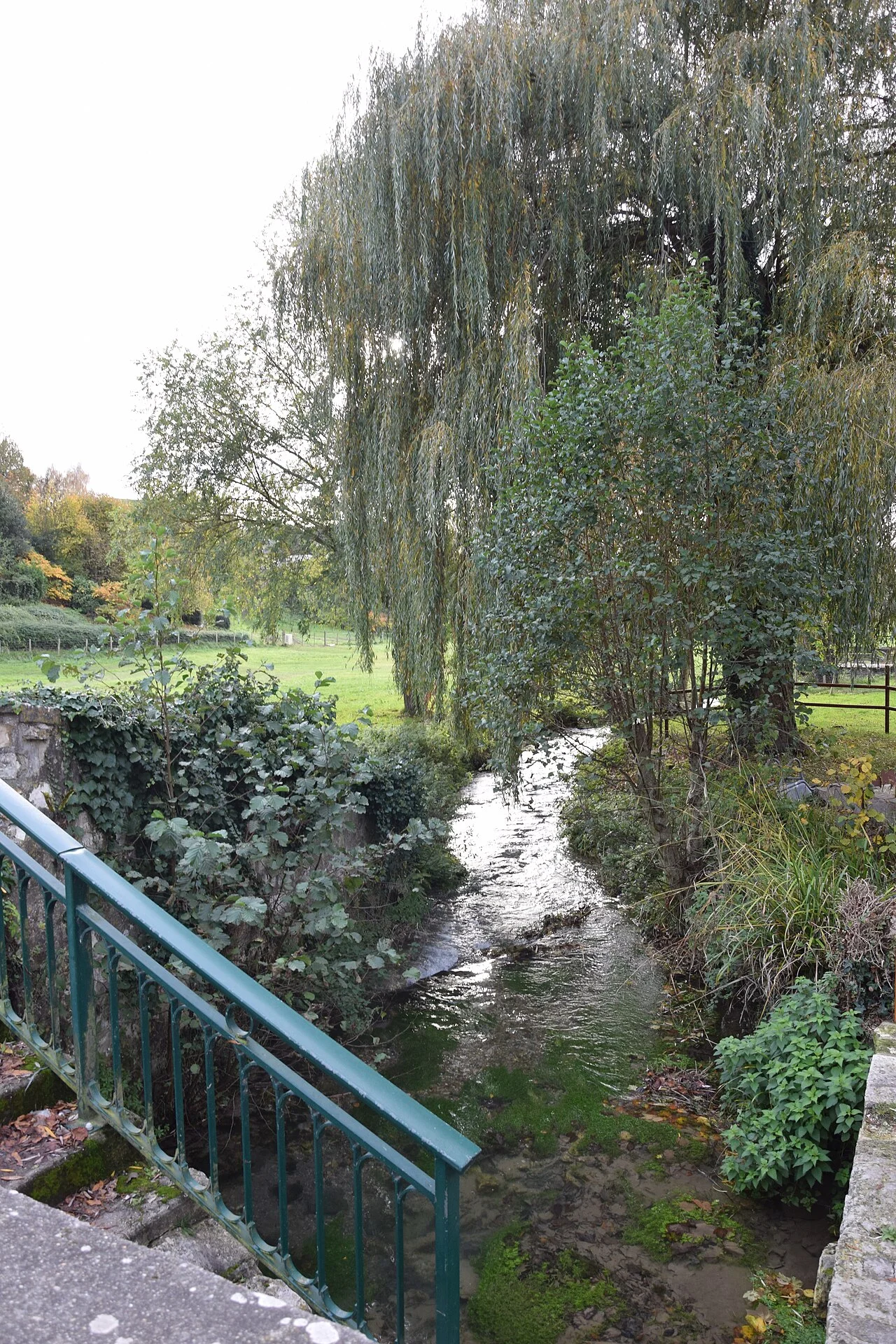 Photo of Saint-Wandrille-Rançon