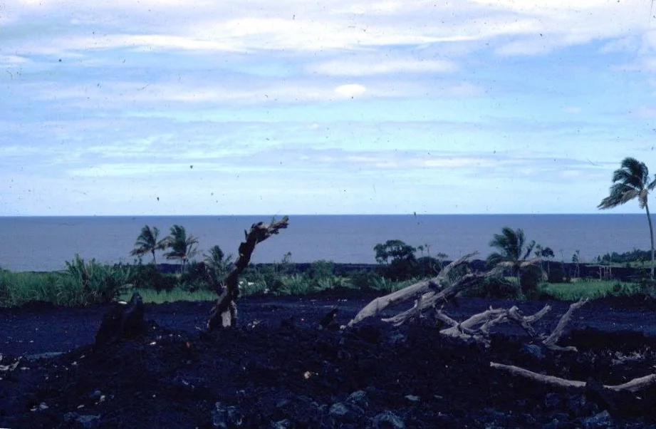 Photo of Sainte-Rose