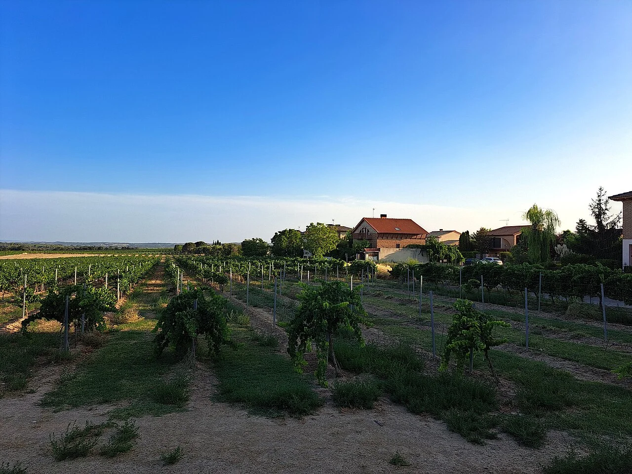 Photo of Salas Bajas