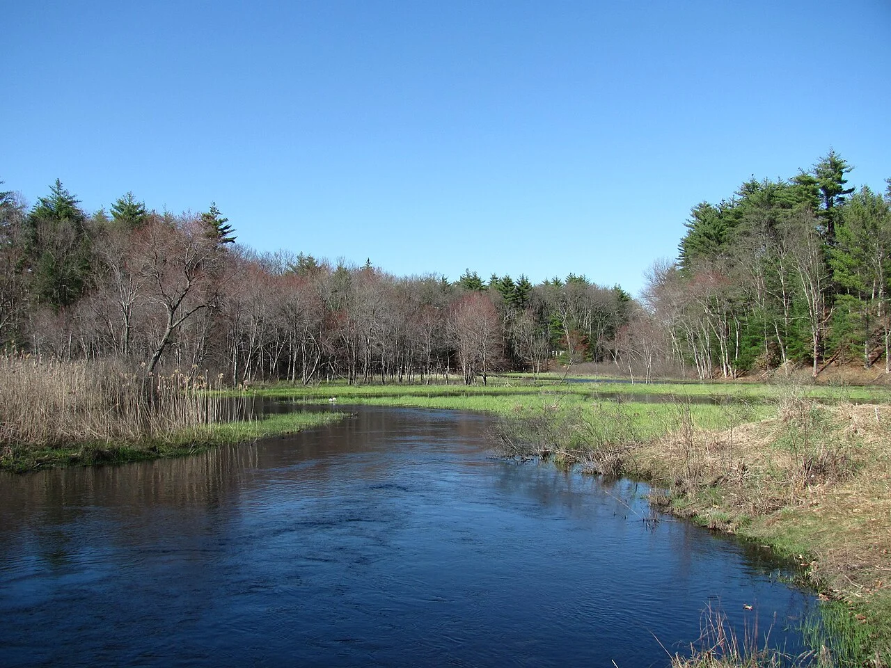 Photo of Salmon Brook