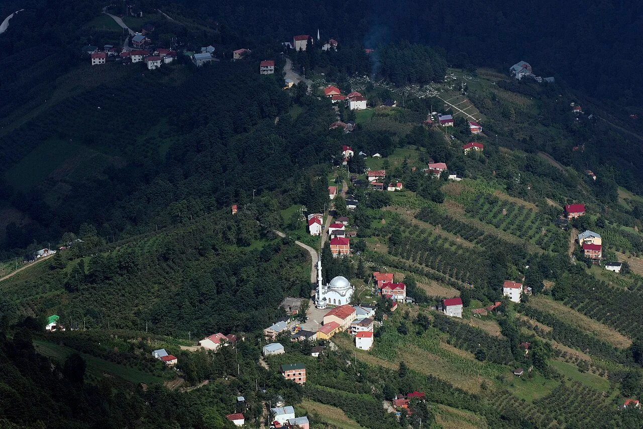 Photo of Şalpazarı