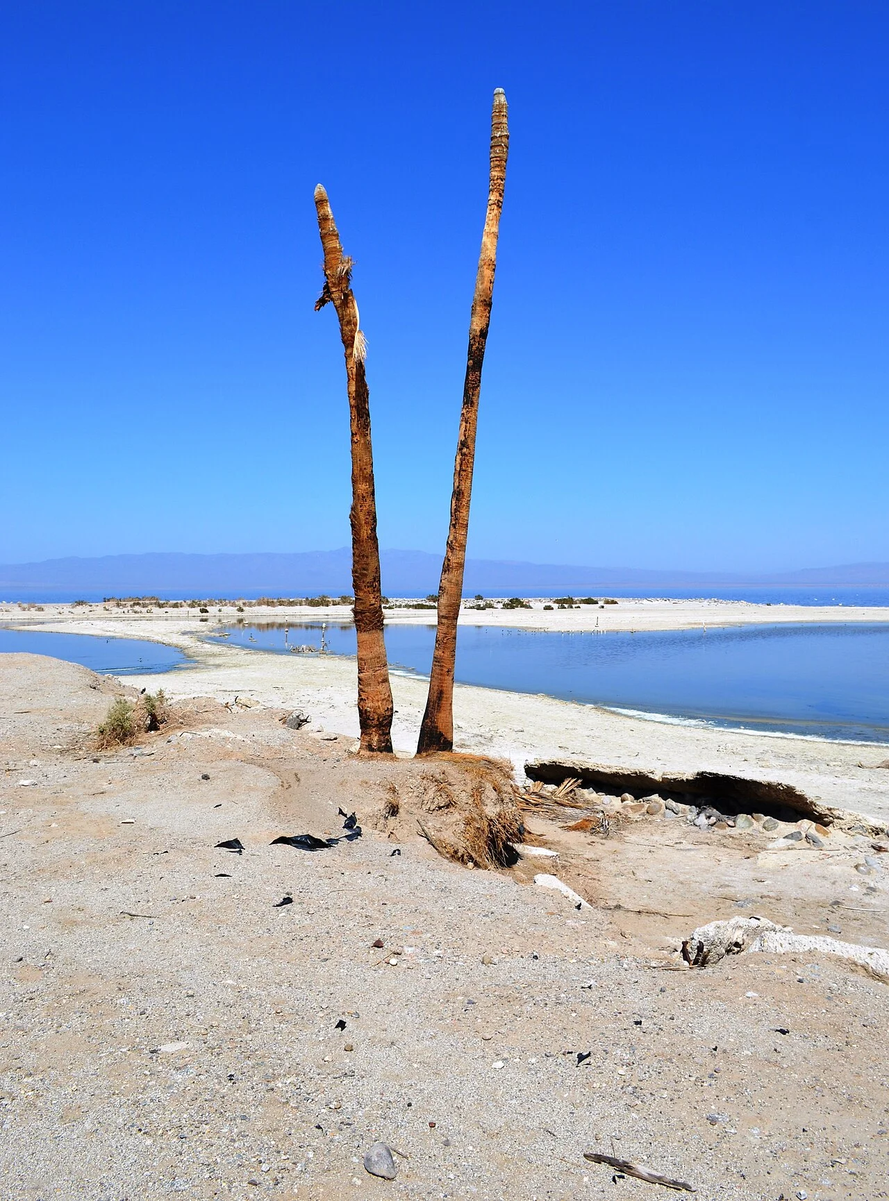 Photo of Salton City