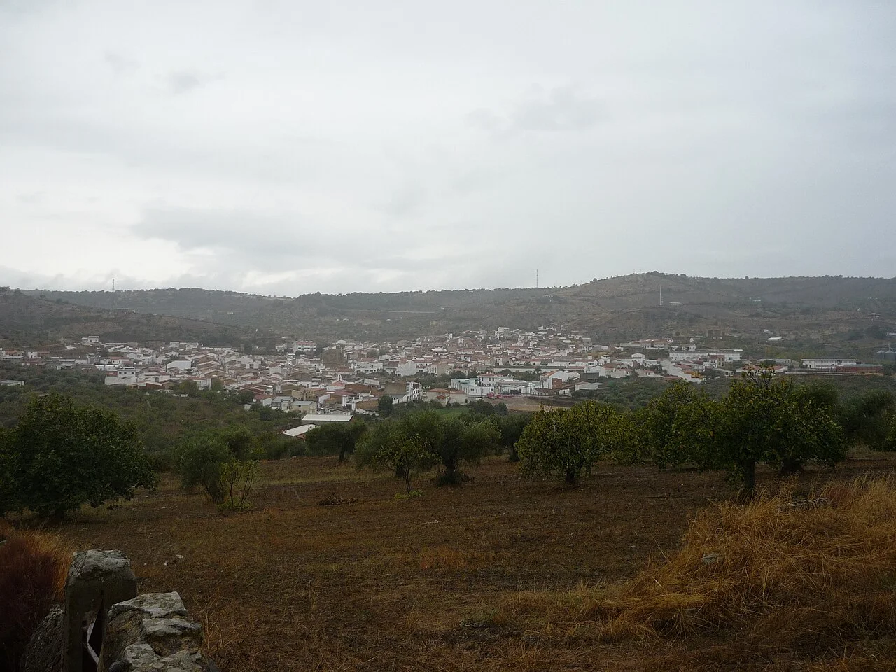 Photo of Salvaleón