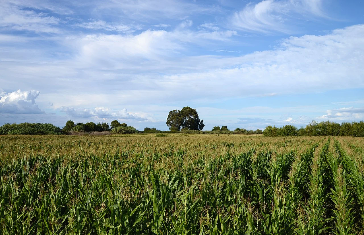 Photo of Salvaterra de Magos