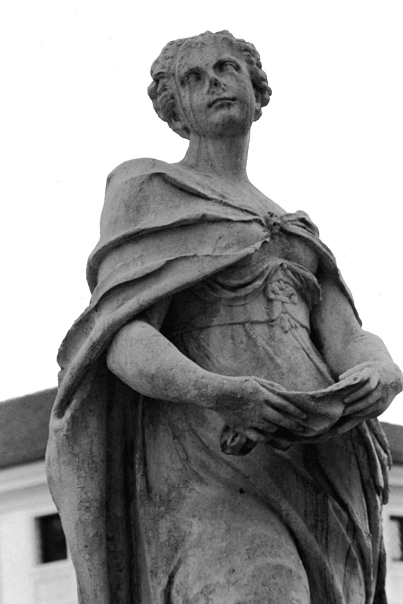 Photo of Salvatronda