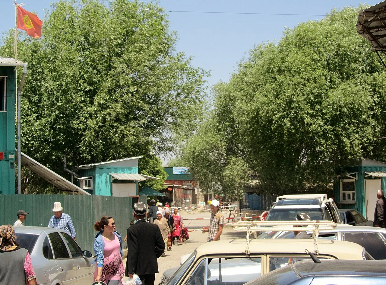 Photo of Samarkandyk