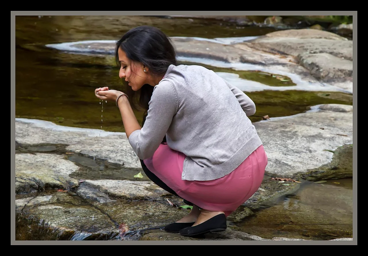 Photo of Samford Valley