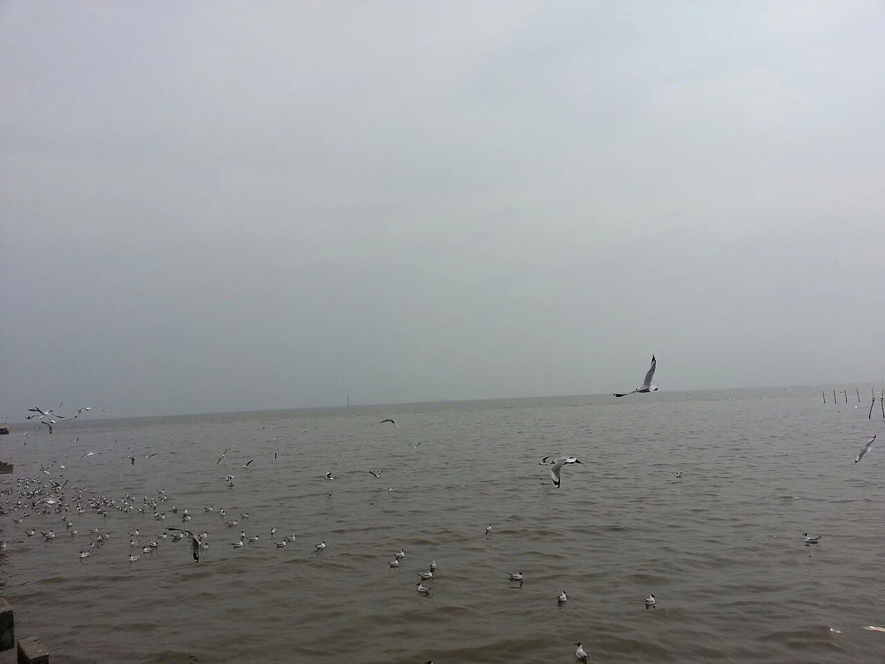 Photo of Samut Prakan