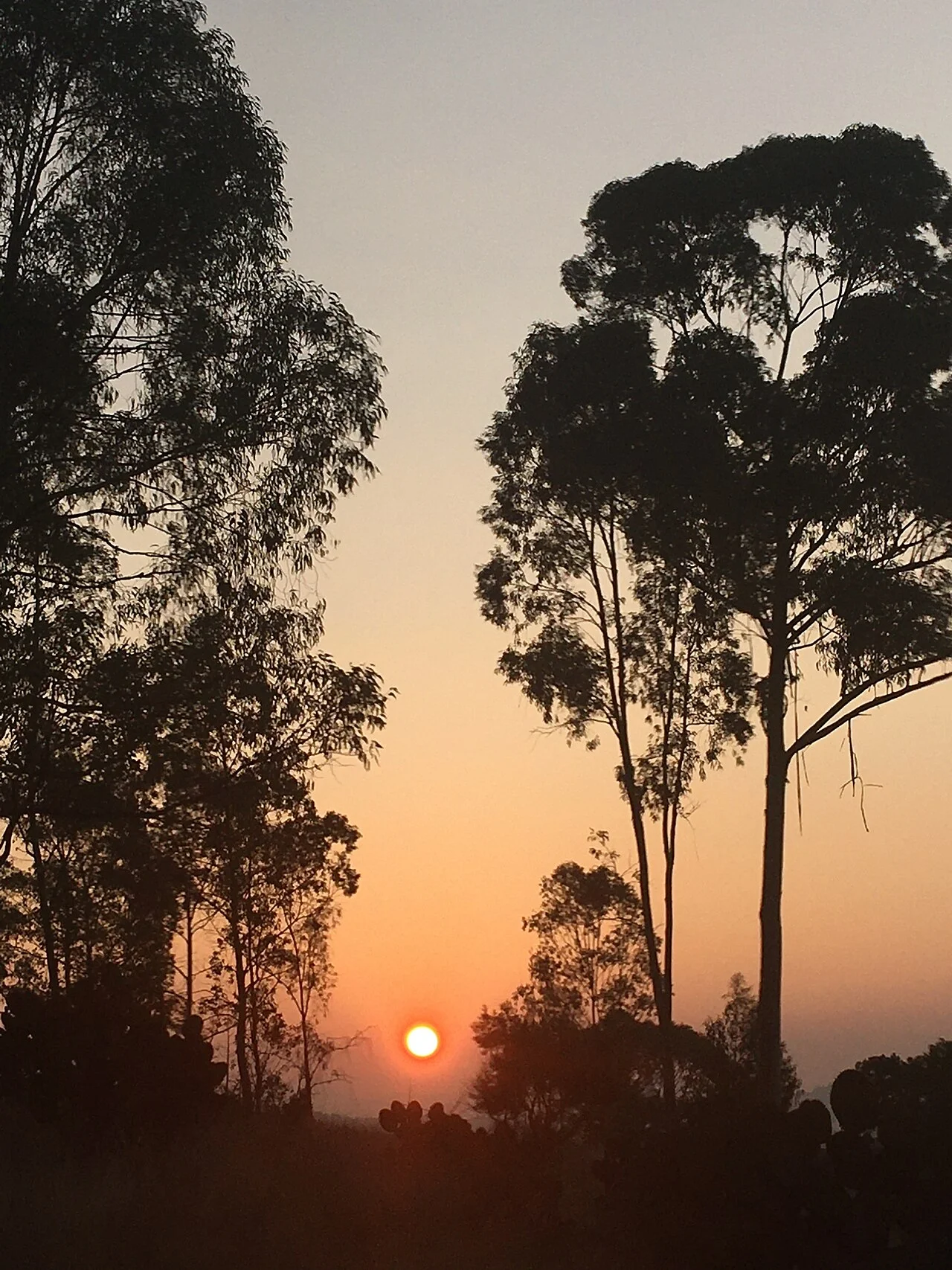Photo of San Andrés Ahuashuatepec