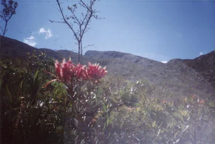 Photo of San Andrés de Cutervo