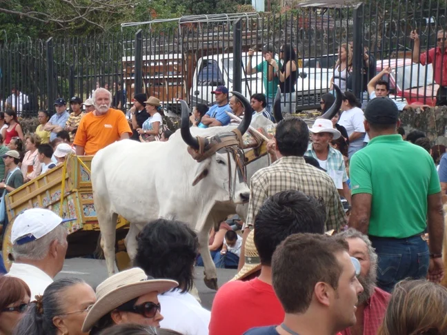 Photo of San Antonio