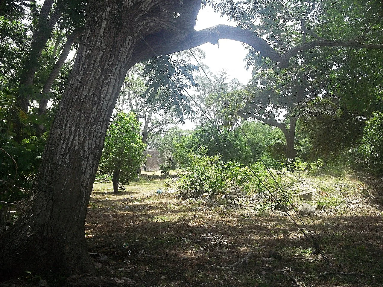 Photo of San Antonio Tedzidz